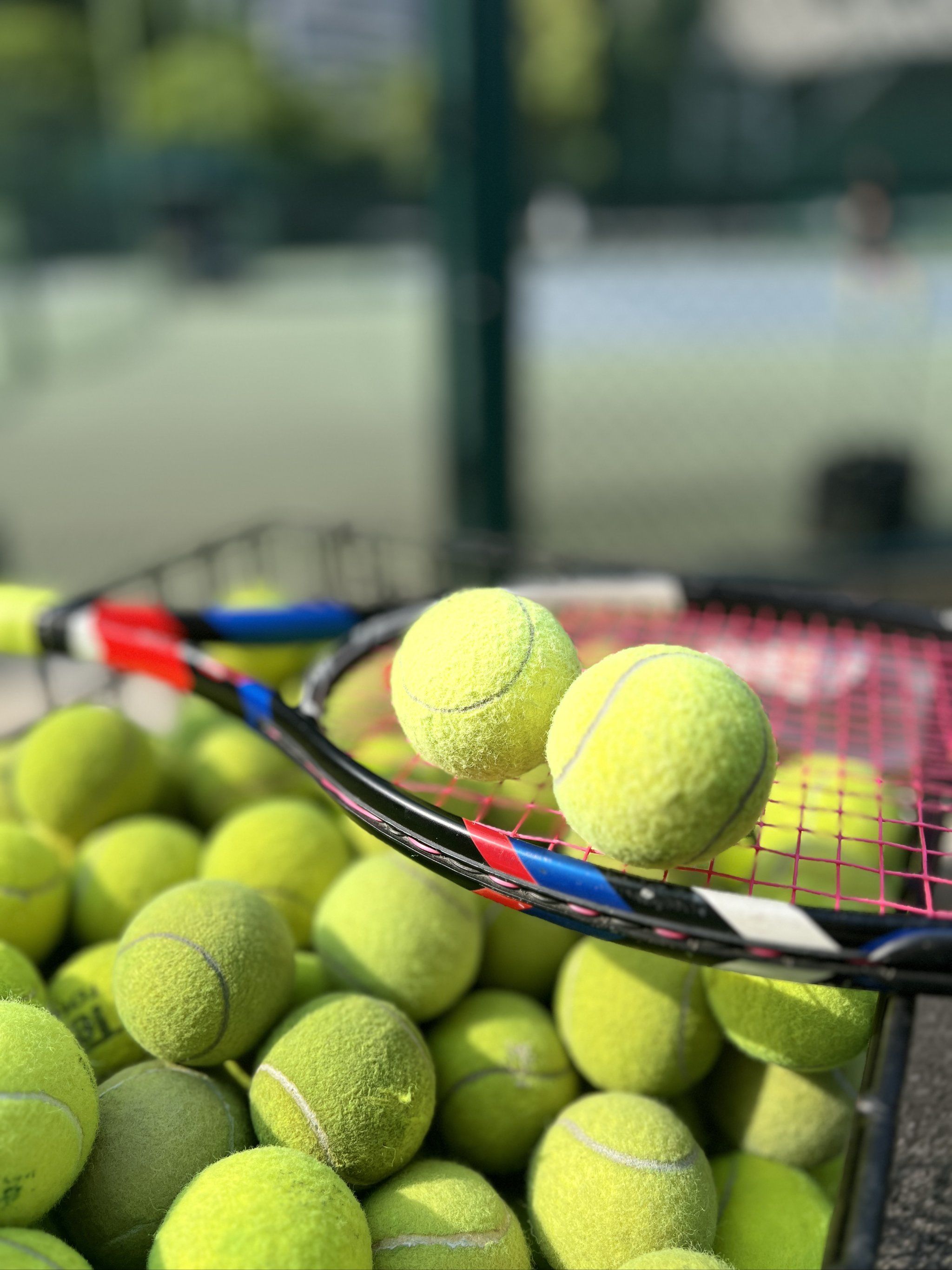 快速发展的 快速发展的